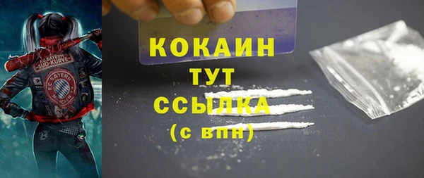 индика Дмитров