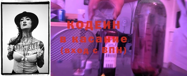 индика Дмитров