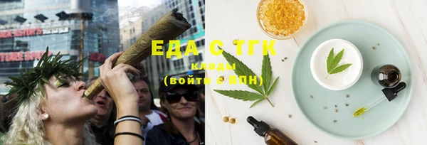индика Дмитров
