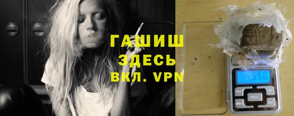 индика Дмитров