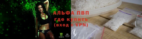 индика Дмитров