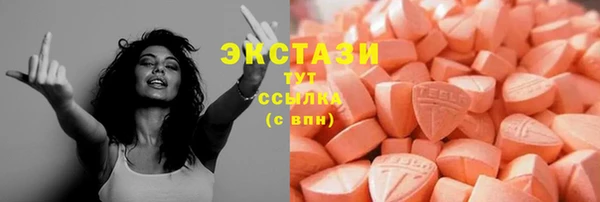 индика Дмитров