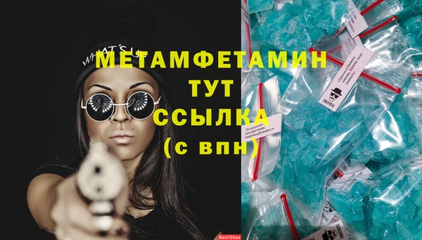 индика Дмитров