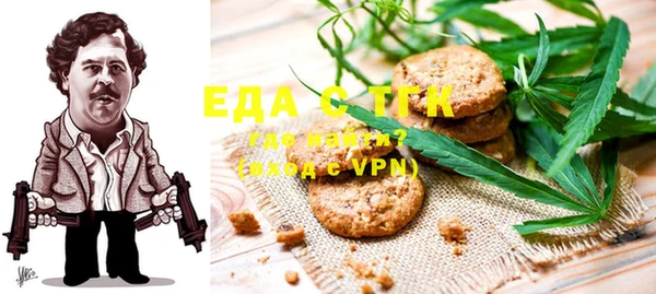 индика Дмитров