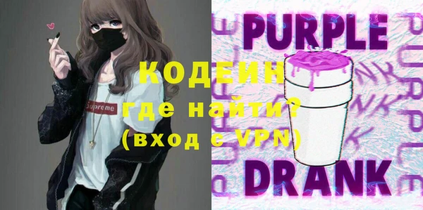 индика Дмитров