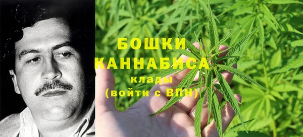 индика Дмитров