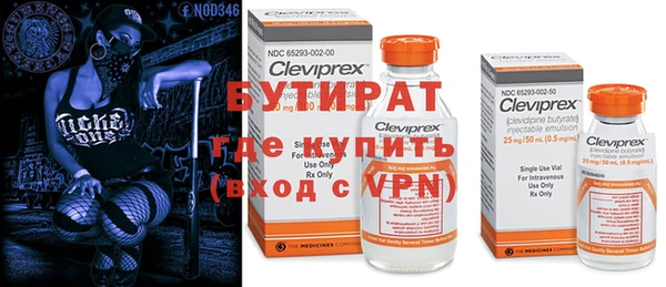 индика Дмитров