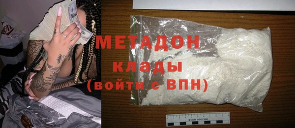 индика Дмитров