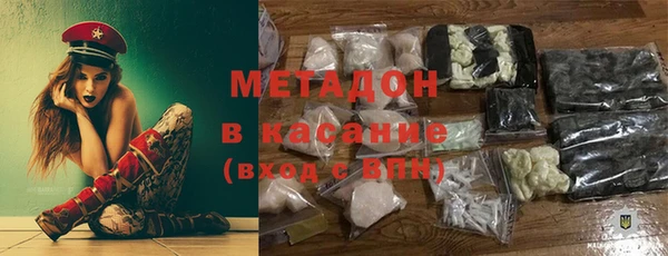 индика Дмитров