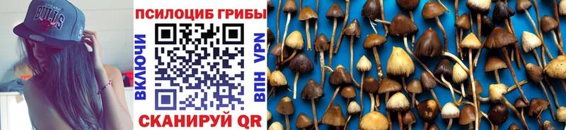 Галлюциногенные грибы мухоморы  Купить закладки  Каменногорск 